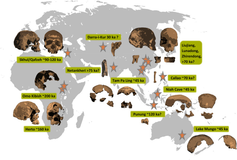 Solving the Mystery of Modern Human Origins By James Shr The Neandertal Enigma 